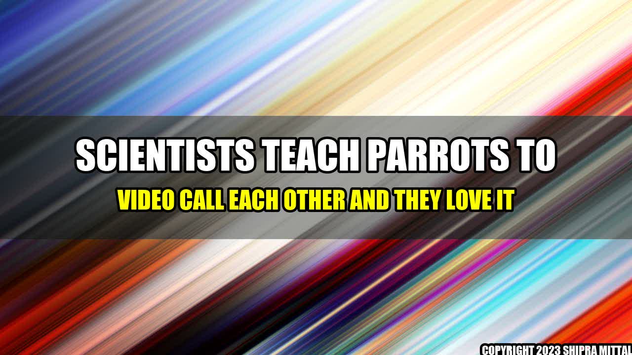 +Scientists Teach Parrots to Video Call Each Other and They Love It+