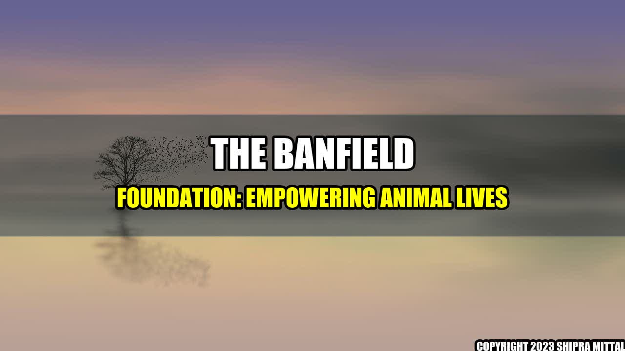 +The Banfield Foundation: Empowering Animal Lives+