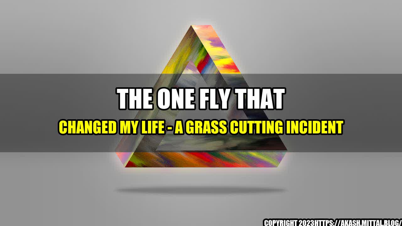 +The-One-Fly-that-Changed-My-Life-A-Grass-Cutting-Incident+